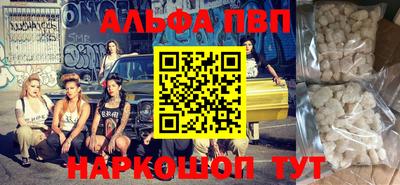 СК Гатчина