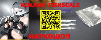 СК Гатчина