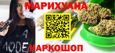 СК Гатчина