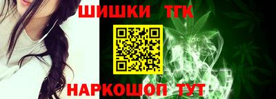 СК Гатчина