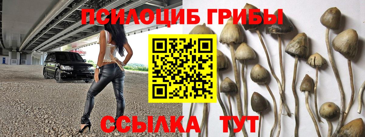 Галлюциногенные грибы Magic Shrooms Нерюнгри